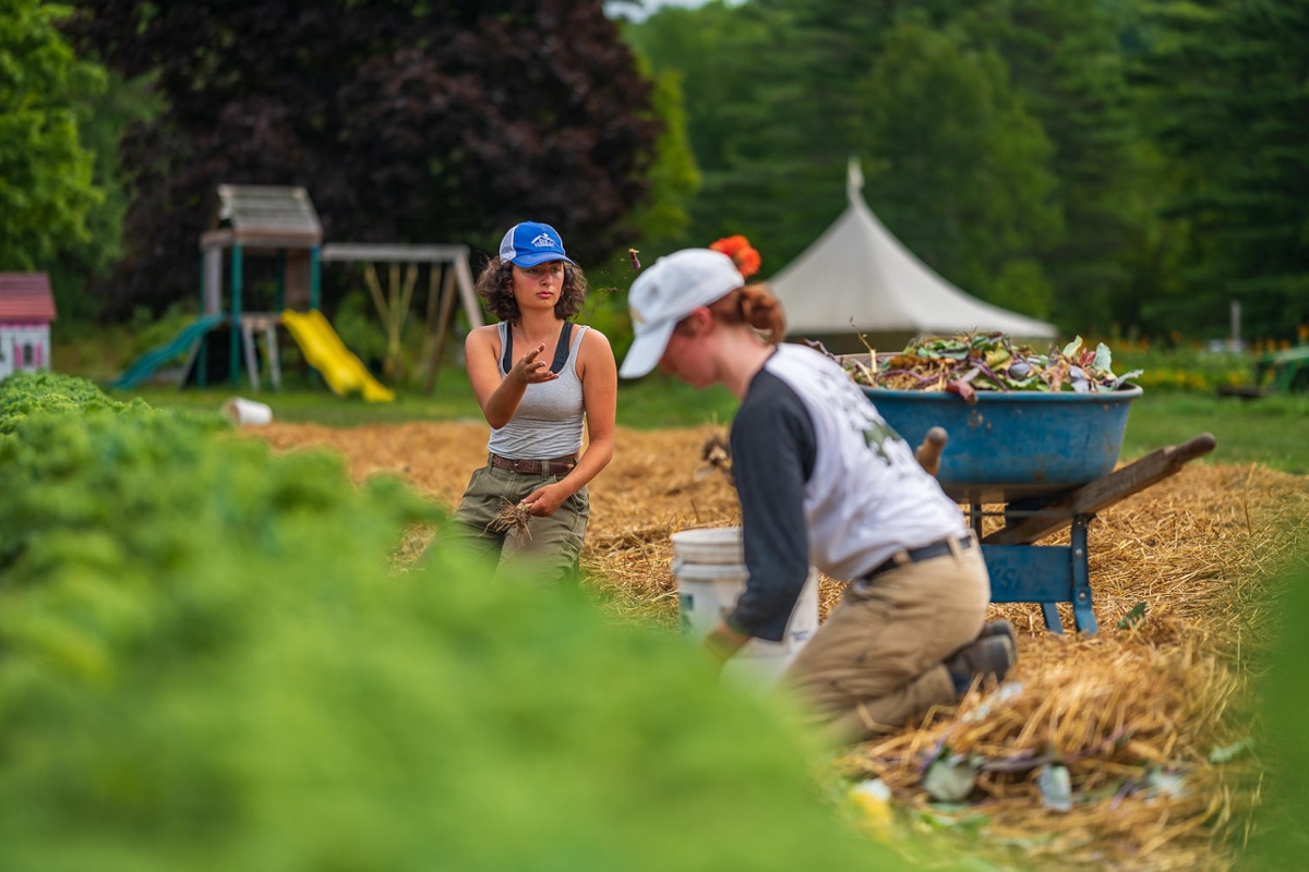 workers