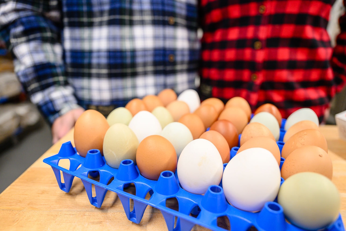 All about the eggs.