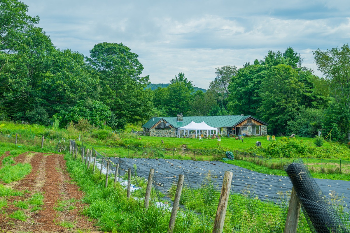 The fields in summer.<br>