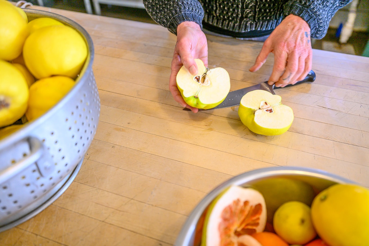 Chopping quince.