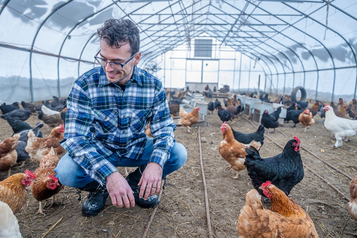 Giacomo in the chicken coop.