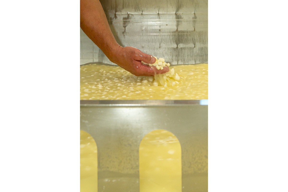 Checking the curds.<br>